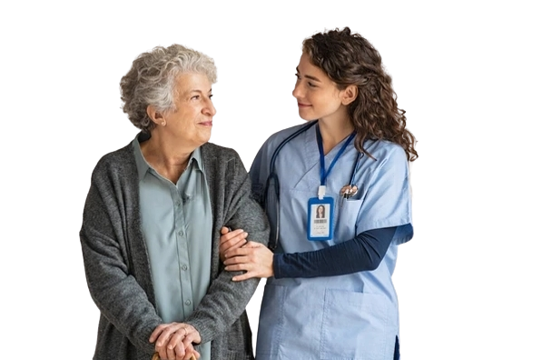 Customer profile user interface